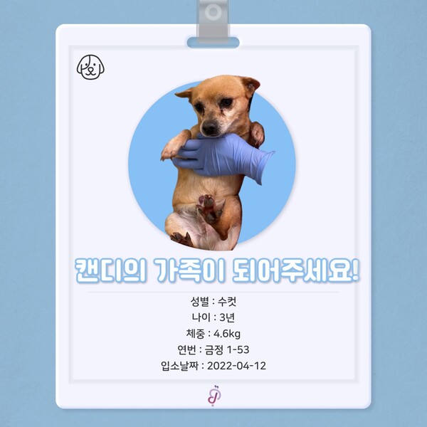 ‘늘픔’ 프로젝트 카드뉴스1 (사진=한국사회공헌협회 부산지회 제공)