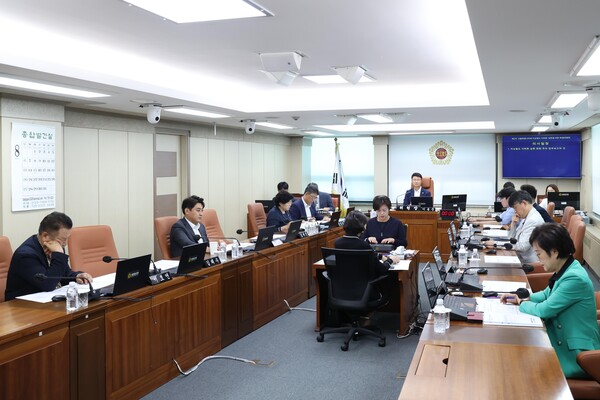 서울특별시의회 지상철도 지하화 실현을 위한 특별위원회 업무보고