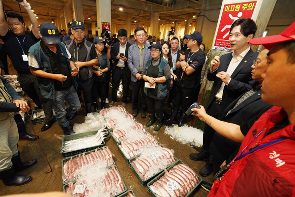 위판장 경매현황 및 판매동향 점검