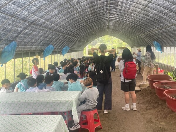 남양주시, 곤충 체험학습 '곤충과 함께해봄' 진행