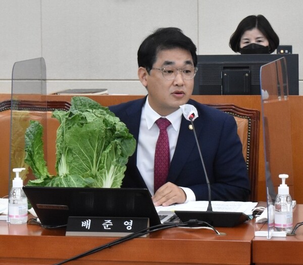 배준영 국민의 힘 국회의원 