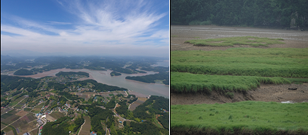 사천 광포만 갯벌 전경