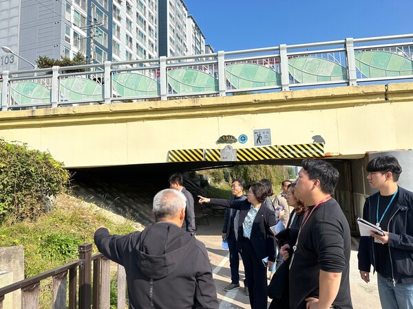 수원천 일대 보행 안전 및 시설 점검
