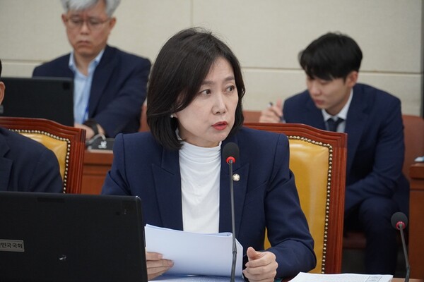 국민의힘 허은아 국회의원