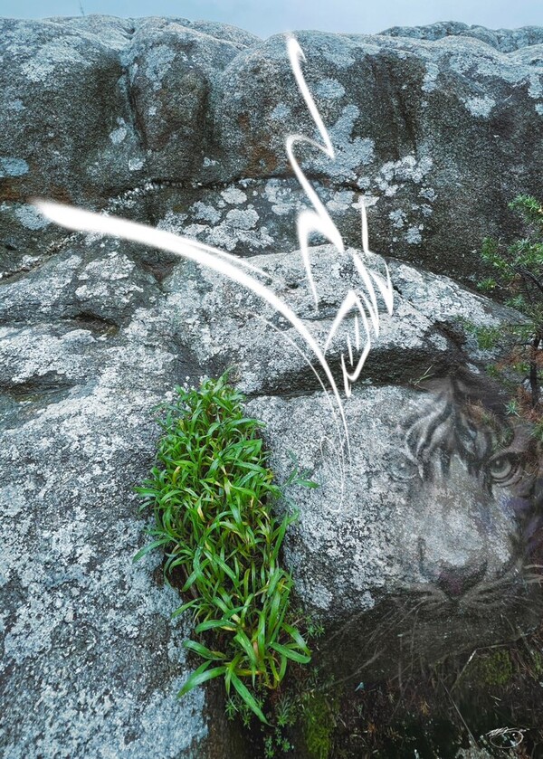 (비주얼아트=전기순)