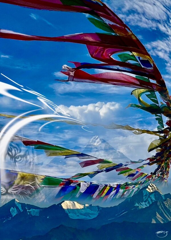 (비주얼아트=전기순)