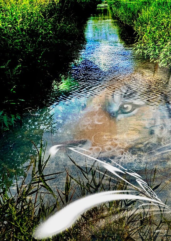 비주얼아트=전기순