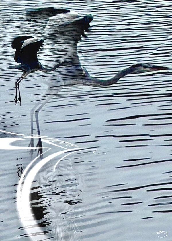 비주얼아트=전기순