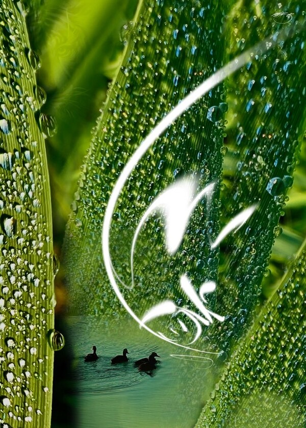  비주얼아트=전기순