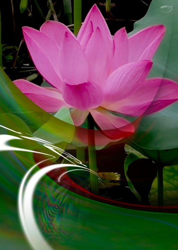 비주얼아트=전기순