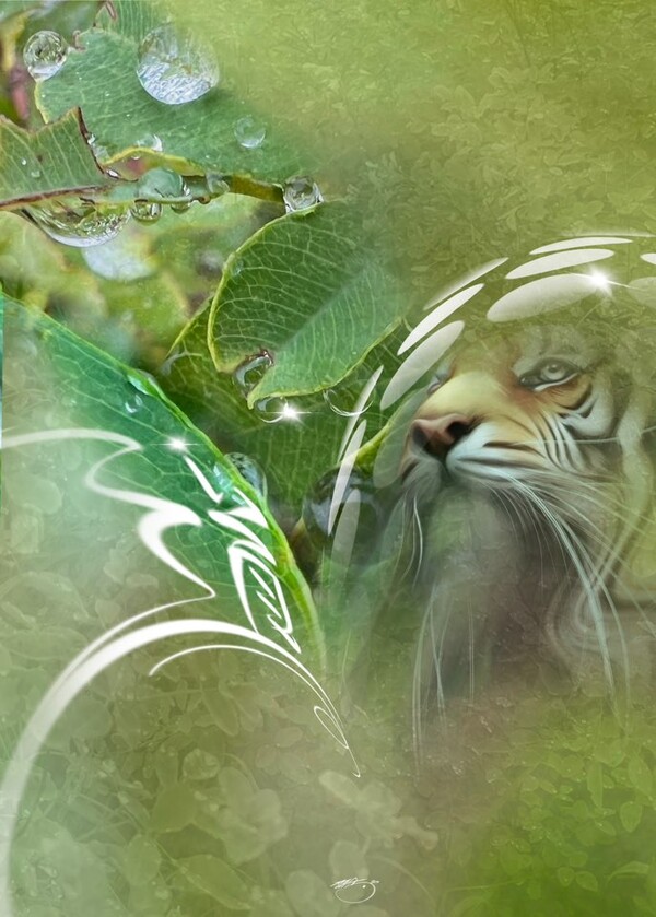 비주얼아트=전기순