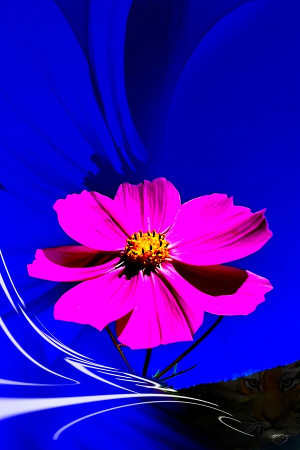 비주얼아트=전기순