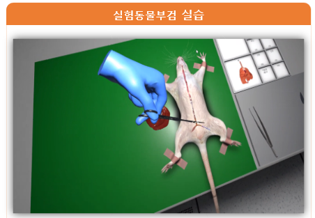 [사진= 라온메타 교육실습 콘텐츠, 자료= 라온메타 제공]