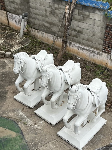  애니쿤 작가 작품