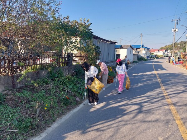  마정리 마을 쓰레기 줍기현장