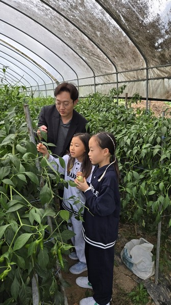 고추따기에 나선 심진우 박사와 아이들