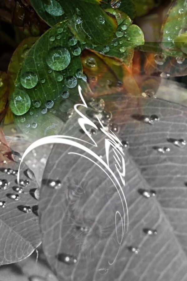 비주얼아트=전기순