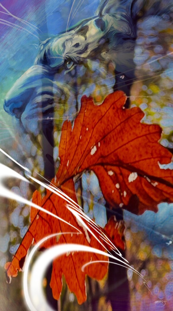 비주얼아트=전기순