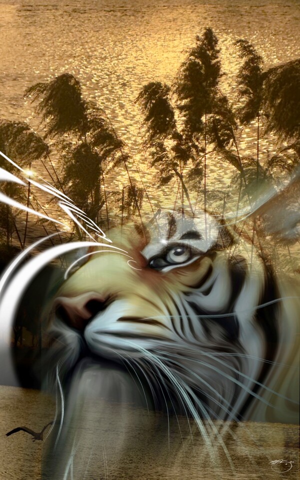 비주얼아트=전기순