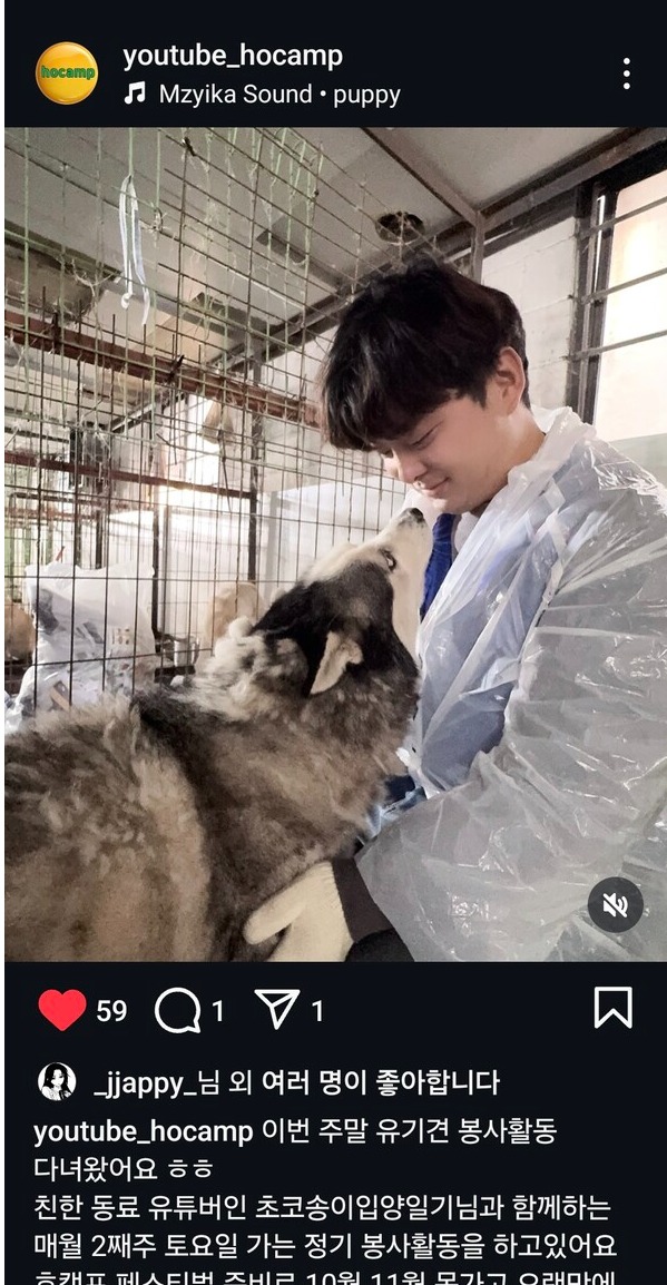 호캠프 봉사활동 후기 (사진=호캠프 인스타그램 갈무리)