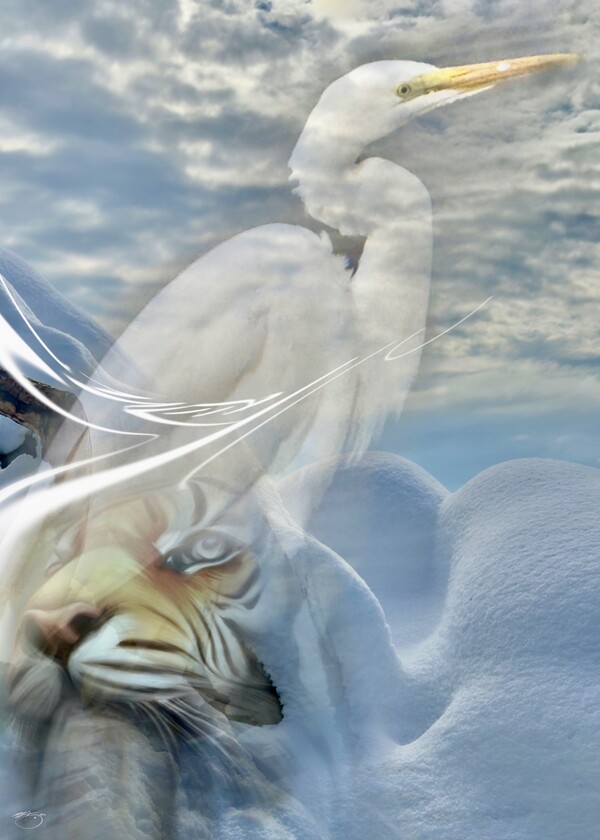 비주얼아트=전기순