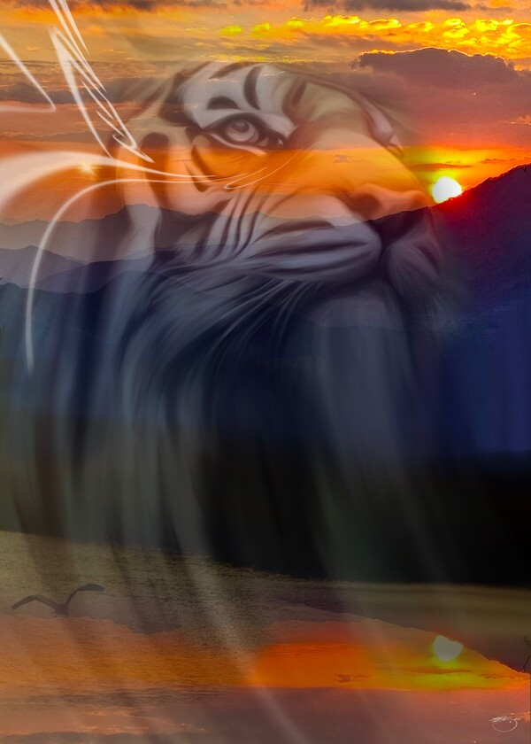 비주얼아트=전기순