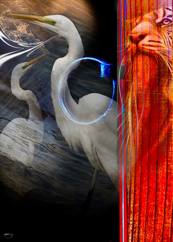 비주얼아트=전기순