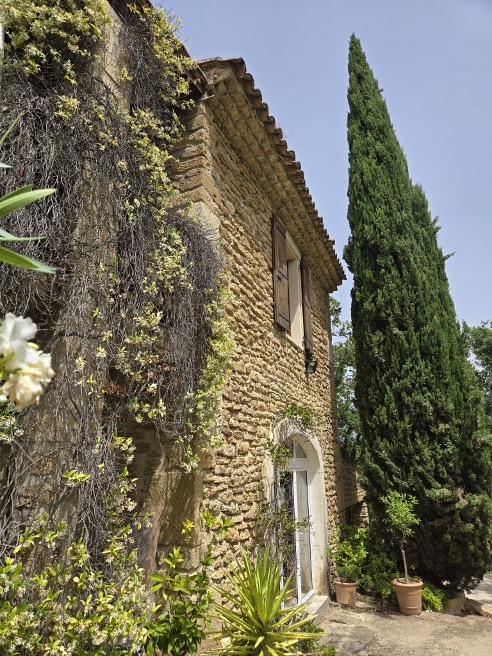 사진 = 아이메 트러플 농장 제공. Courtesy of Ayme Truffle Farm, Helen Siwak.