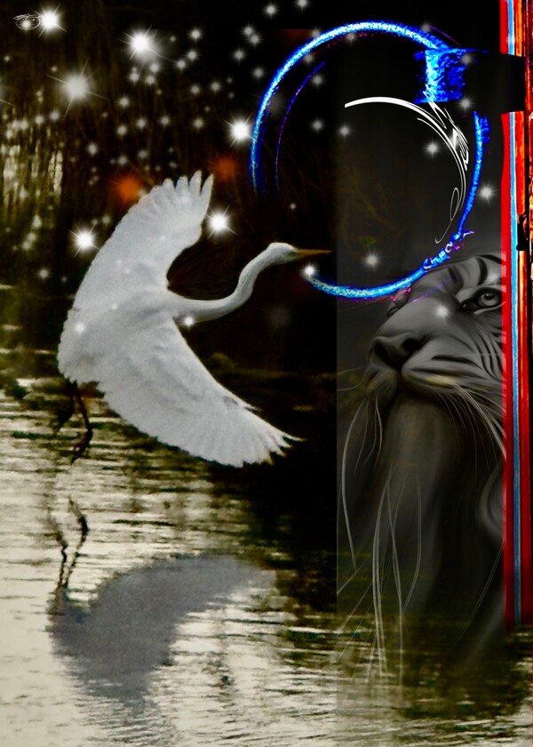 비주얼아트=전기순