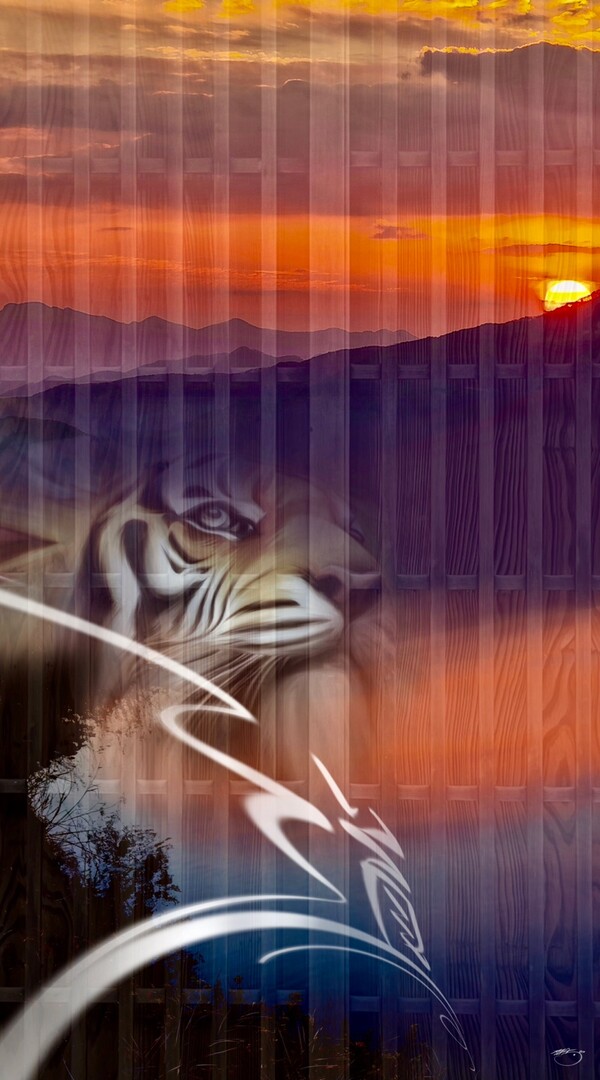 비주얼아트=전기순