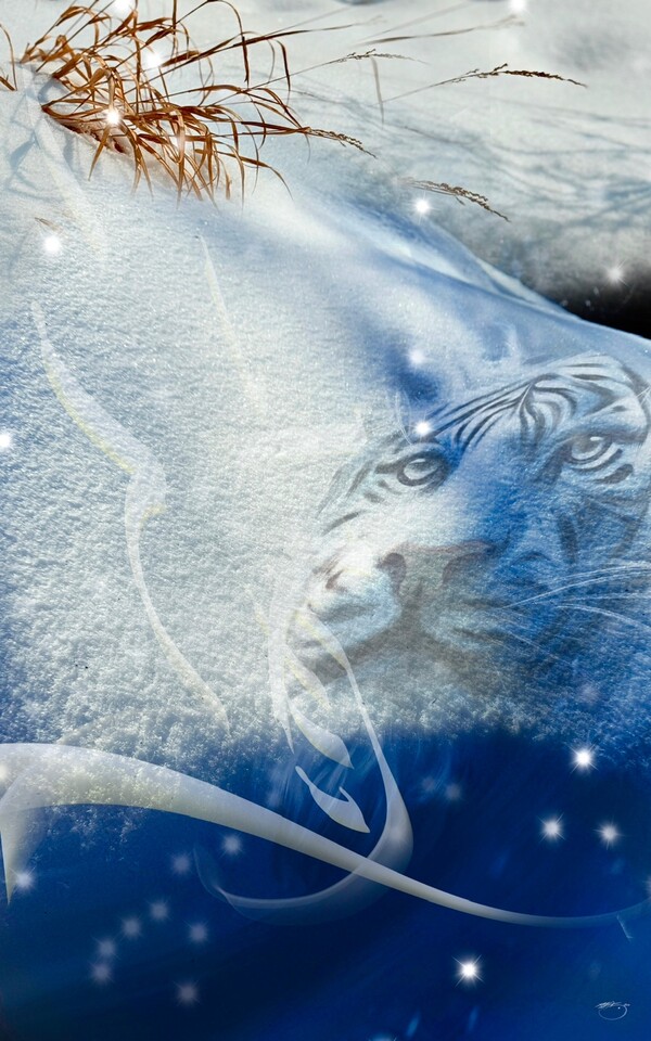 비주얼아트=전기순