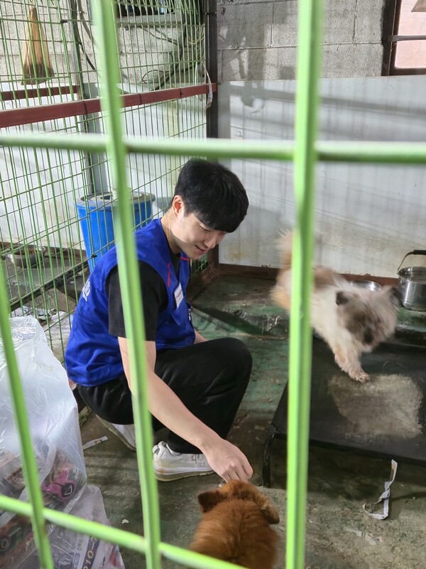 3월 8일 유기동물 보호캠페인에 참여 중인 사회적 인플루언서 초코송이 입양일기 [사진=유회중 기자]