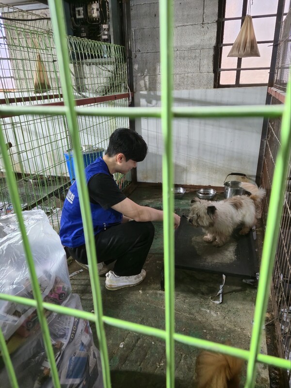 유기견 견사에서 간식을 주고 있는 초코송이 입양일기 [사진=유회중 기자]