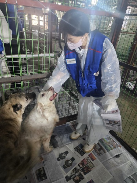 3월 8일 유기동물 보호캠페인에 참여 중인 황계원 아웃두 대표 [사진=유회중 기자]