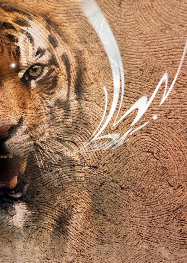 비주얼아트=전기순