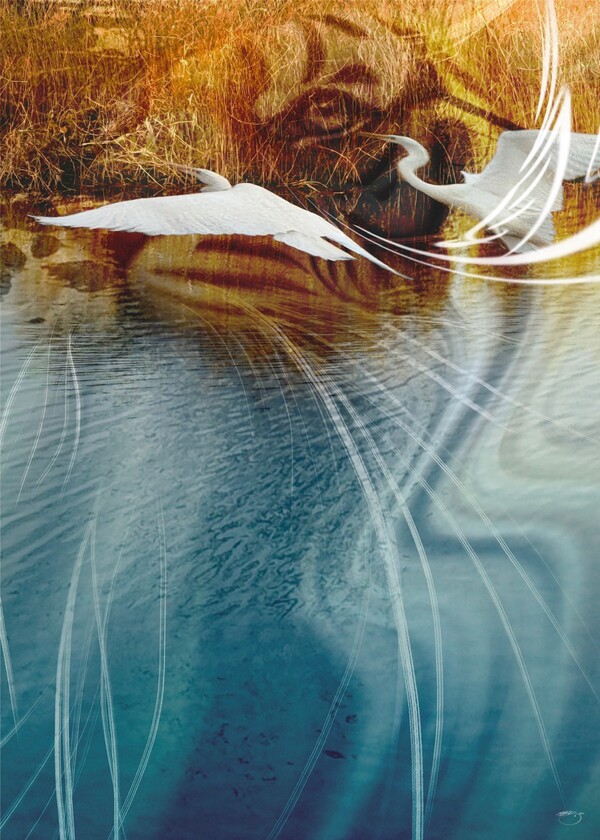 비주얼아트=전기순