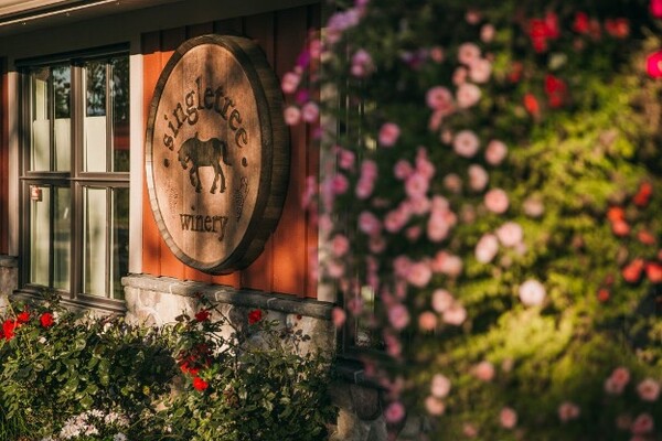 사진 제공 = Justine Russo, Helen Siwak.