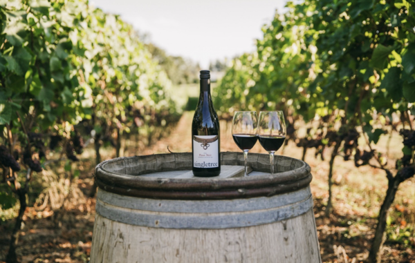 사진 제공 = Justine Russo, Helen Siwak.