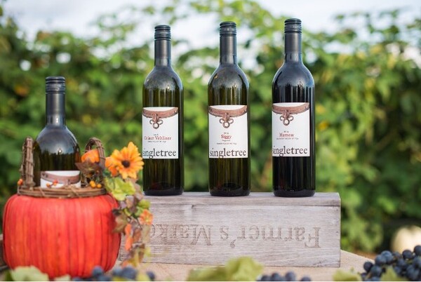 사진 제공 = Justine Russo, Helen Siwak.