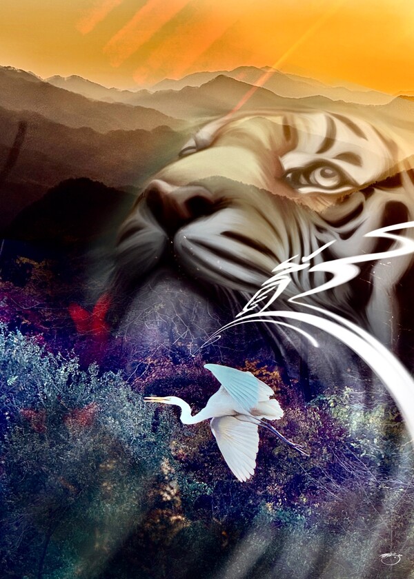 비주얼아트=전기순