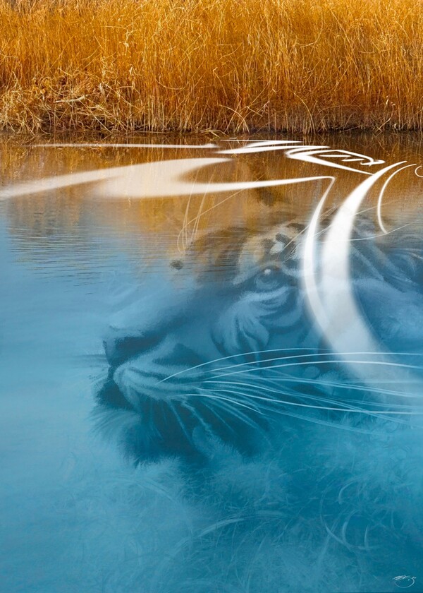 비주얼아트=전기순