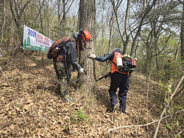 4월 17일 대마지구 소나무재선충병 방제작업을 하는 시공방제팀의 모습. (사진=차윤기 기자)