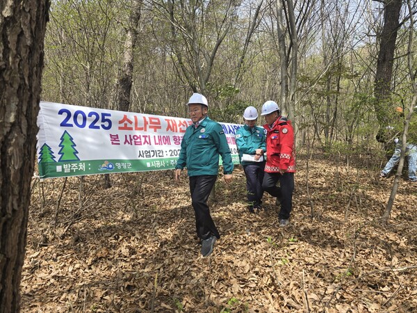 4월 17일 장세일 영광군수(좌), 전용운 대마며장(중앙), 박정현 산림공원과장(우)소나무재선충병 방제작업을 하는 현장을 시찰 후 하산하는 모습. (사진=차윤기 기자)