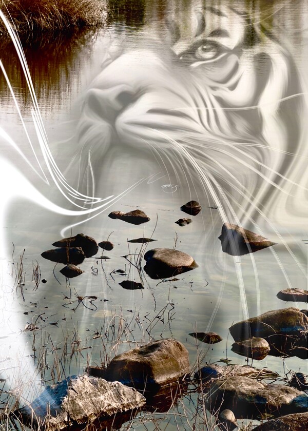 비주얼아트=전기순