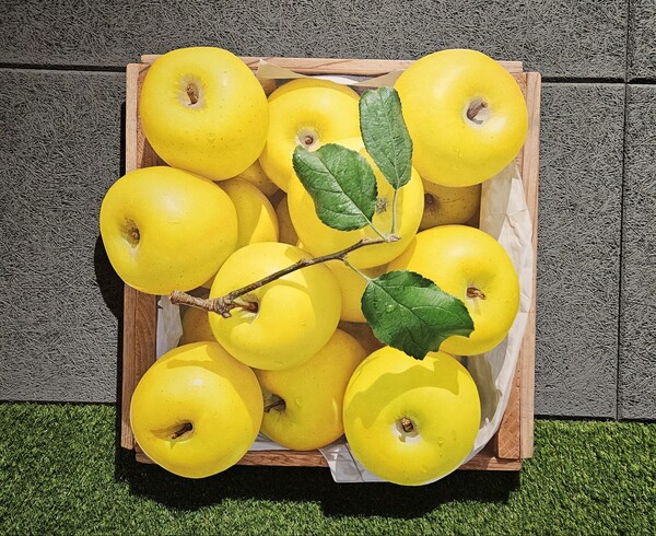 윤병락 화가 작품 [사진=더블유브랜딩]