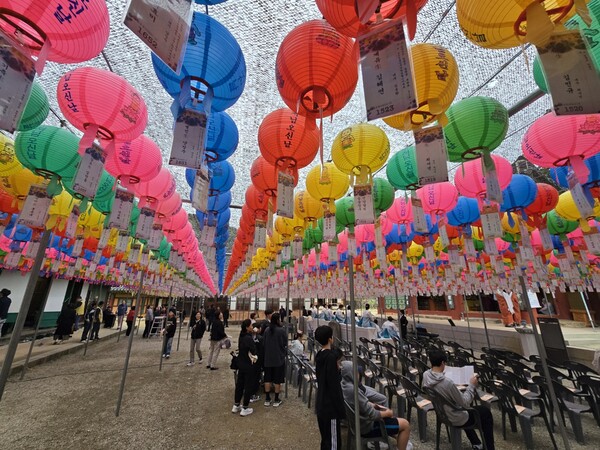 5월 5일 불갑사에 매달려 있는 연등. [사진=차윤기 기자]
