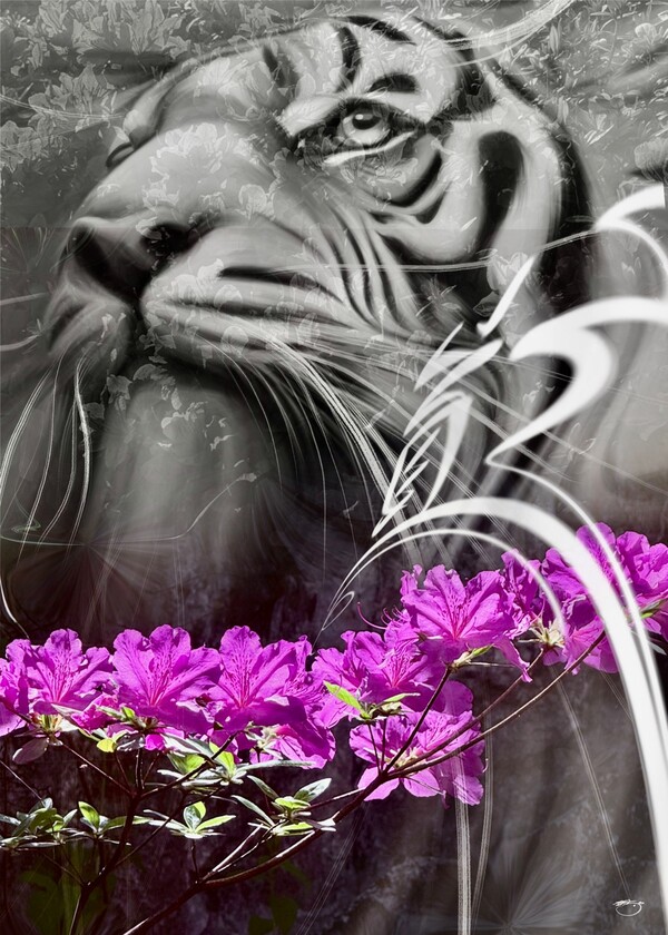 비주얼아트=전기순