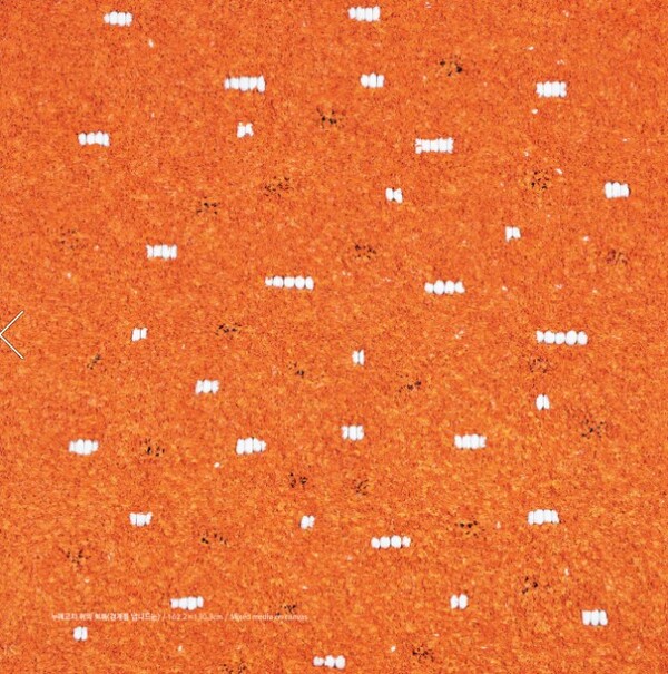 [사진=갤러리 이즈 제공]