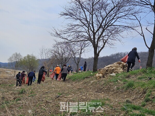 진천군 상하수도사업소와 환경과 직원들이 농다리 상류 하천 주변 자연정화 활동을 실시하고 있다.