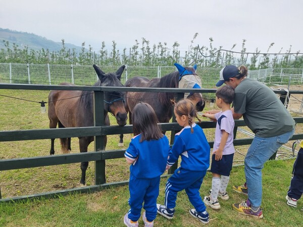 [사진=풍기초등학교병설유치원 제공]